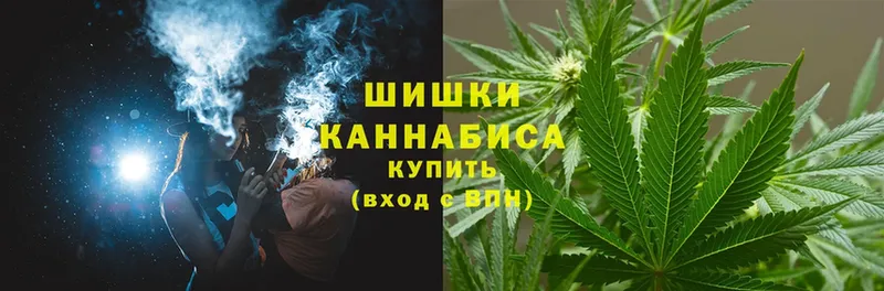 Каннабис SATIVA & INDICA  цены   Благодарный 